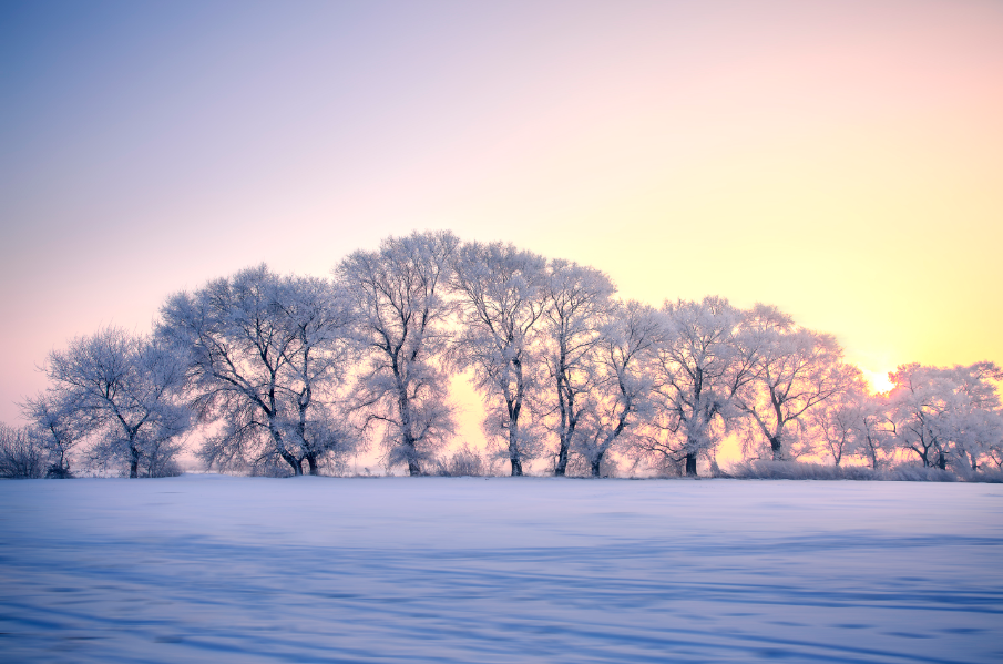 ACP价值.png ACP价值.png